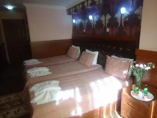 Antik Ipek Hotel Стамбул 2*,